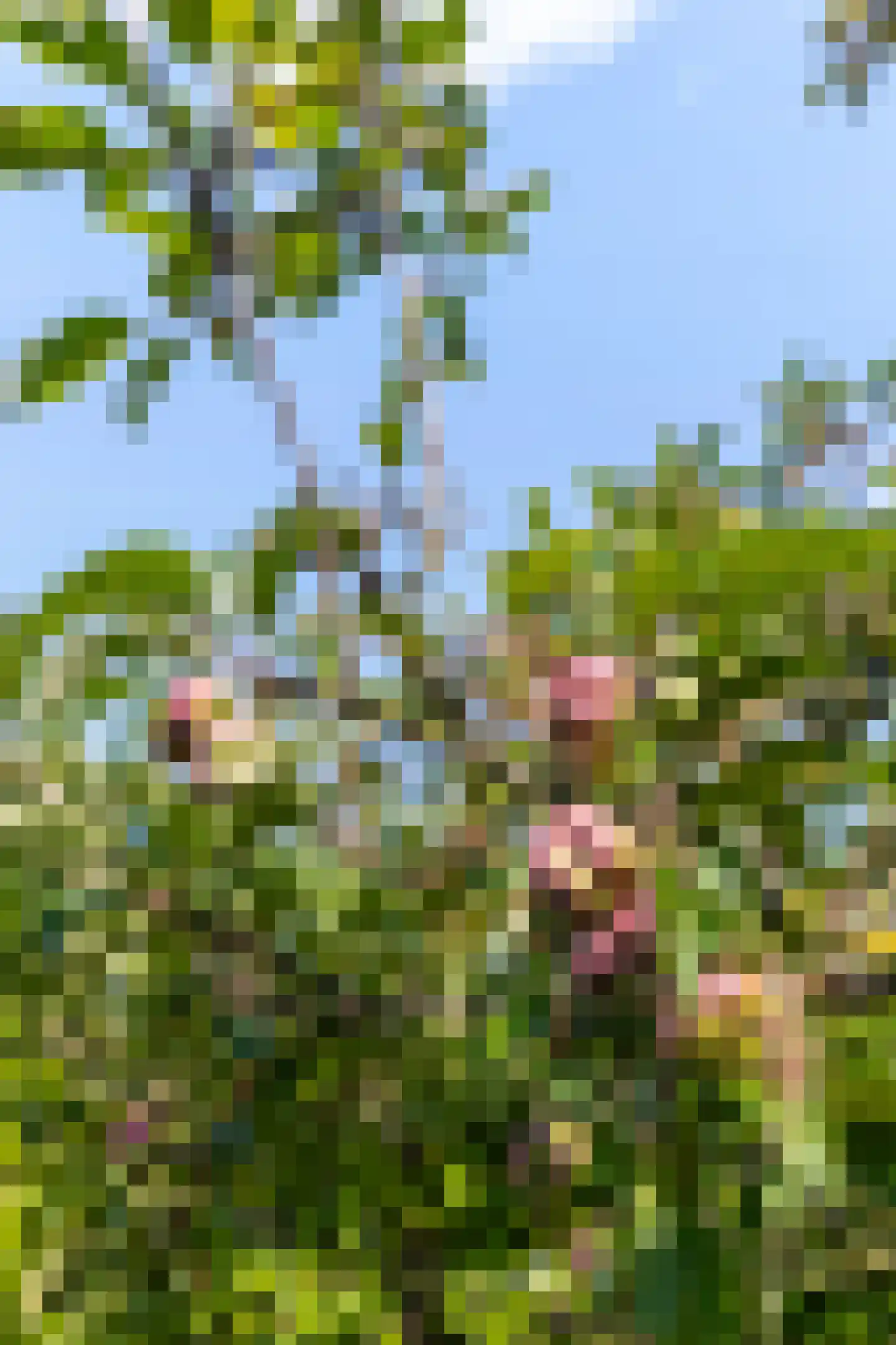 Venneweg 1 19 Berkhout thumbnail 39