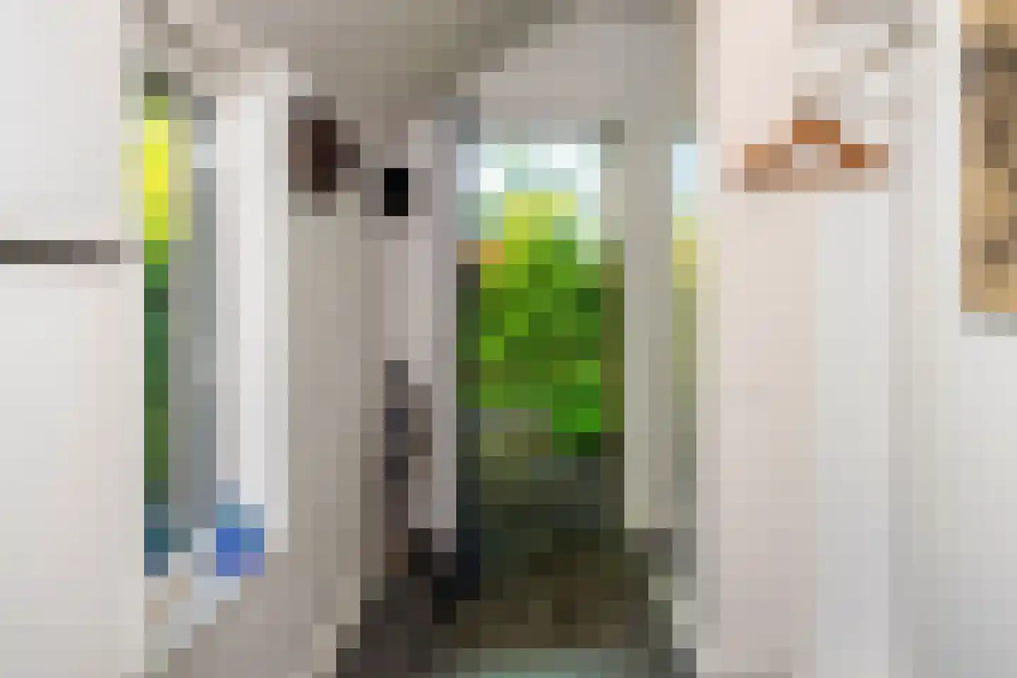 Venneweg 14 Vlagtwedde thumbnail 12