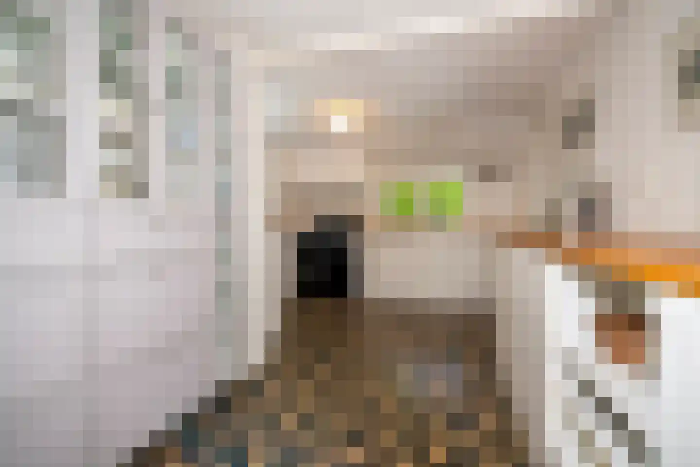 Venneweg 14 Vlagtwedde thumbnail 14