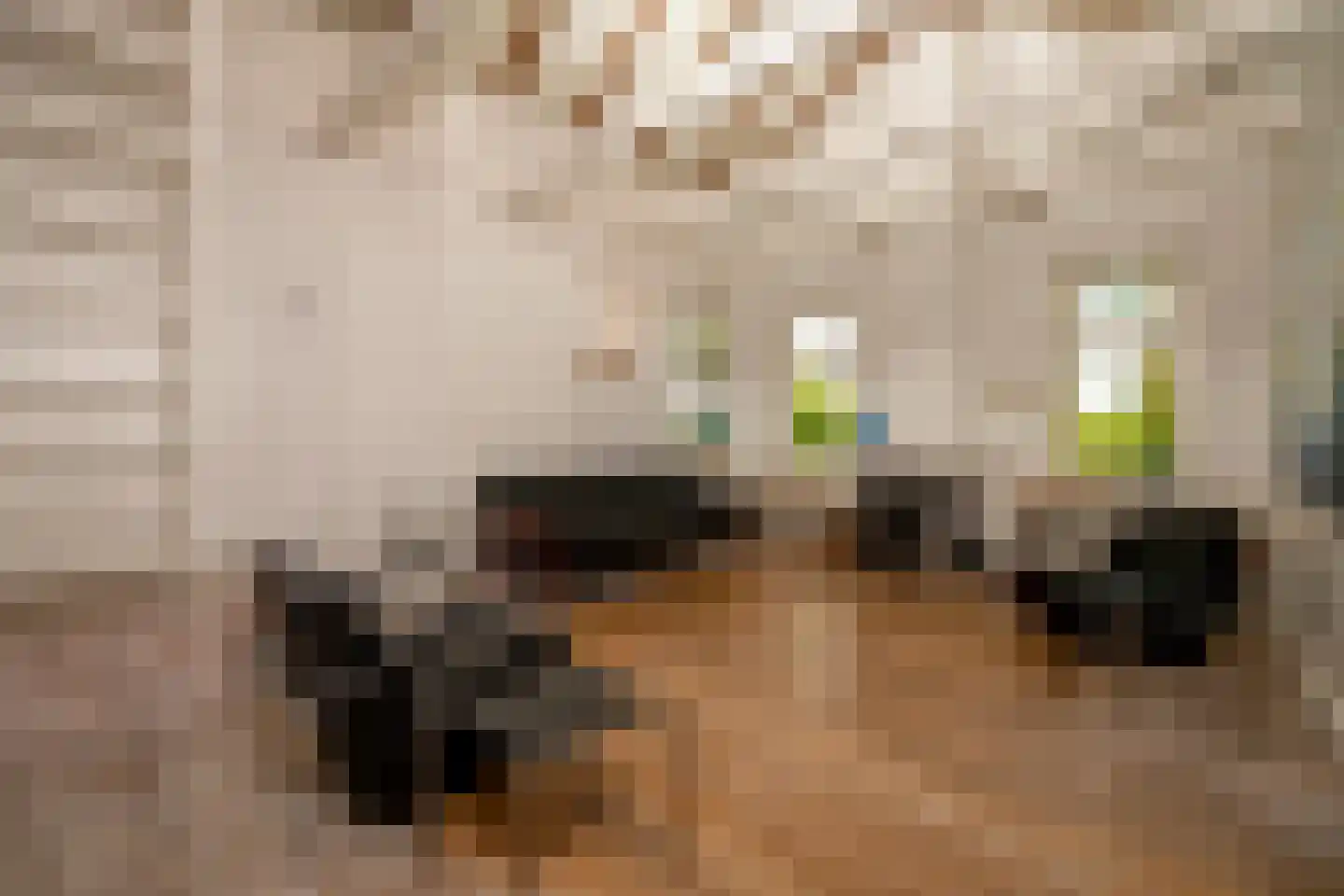Venneweg 14 Vlagtwedde thumbnail 17
