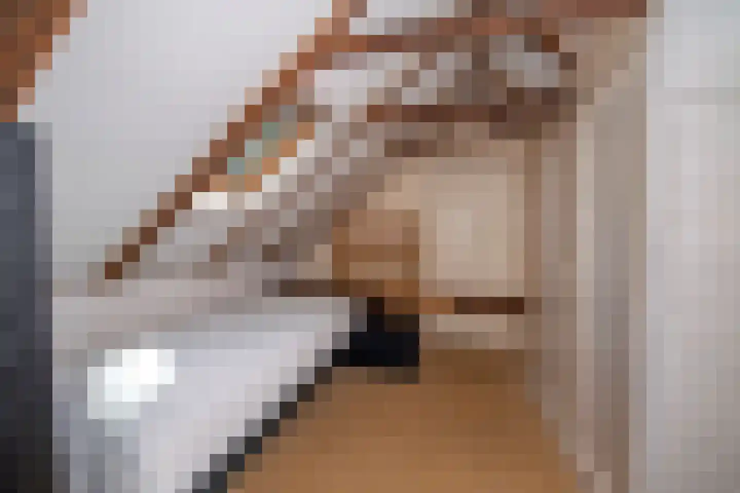 Venneweg 14 Vlagtwedde thumbnail 20