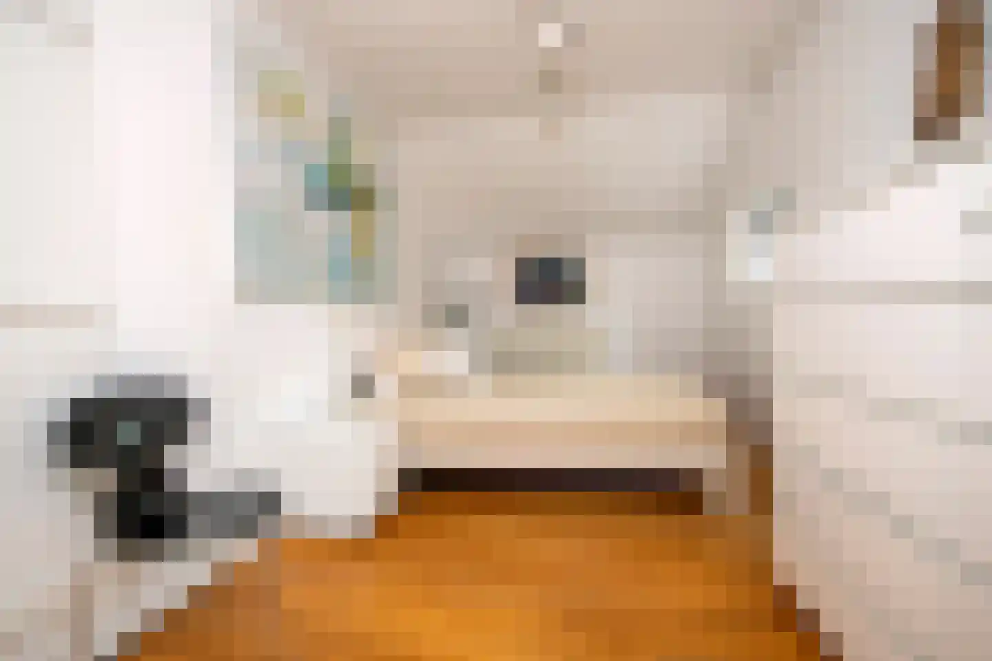 Venneweg 14 Vlagtwedde thumbnail 22