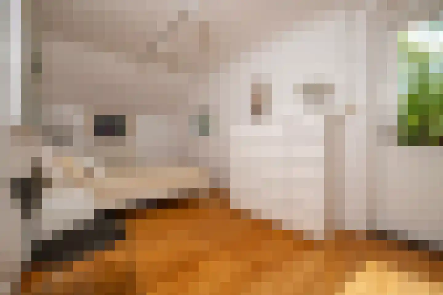 Venneweg 14 Vlagtwedde thumbnail 23