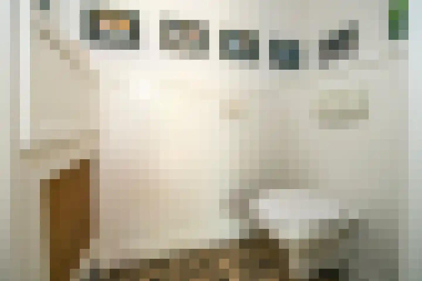 Venneweg 14 Vlagtwedde thumbnail 24