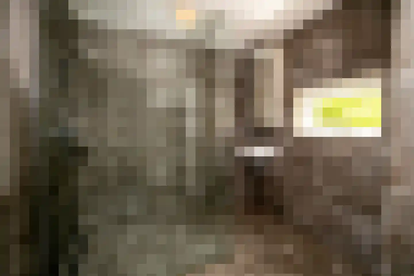 Venneweg 14 Vlagtwedde thumbnail 25