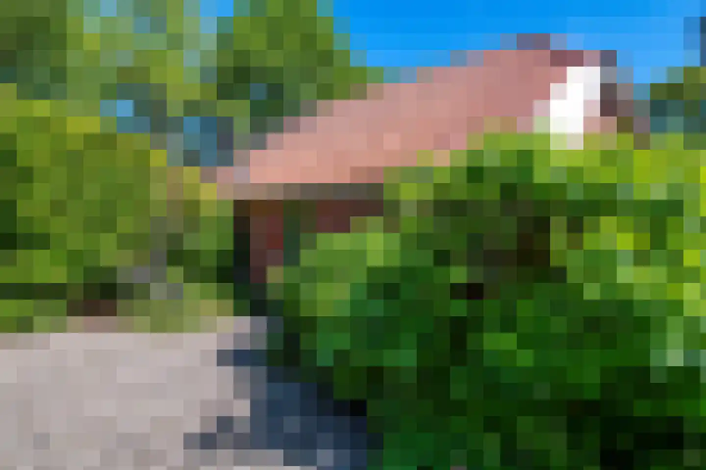 Venneweg 14 Vlagtwedde thumbnail 26