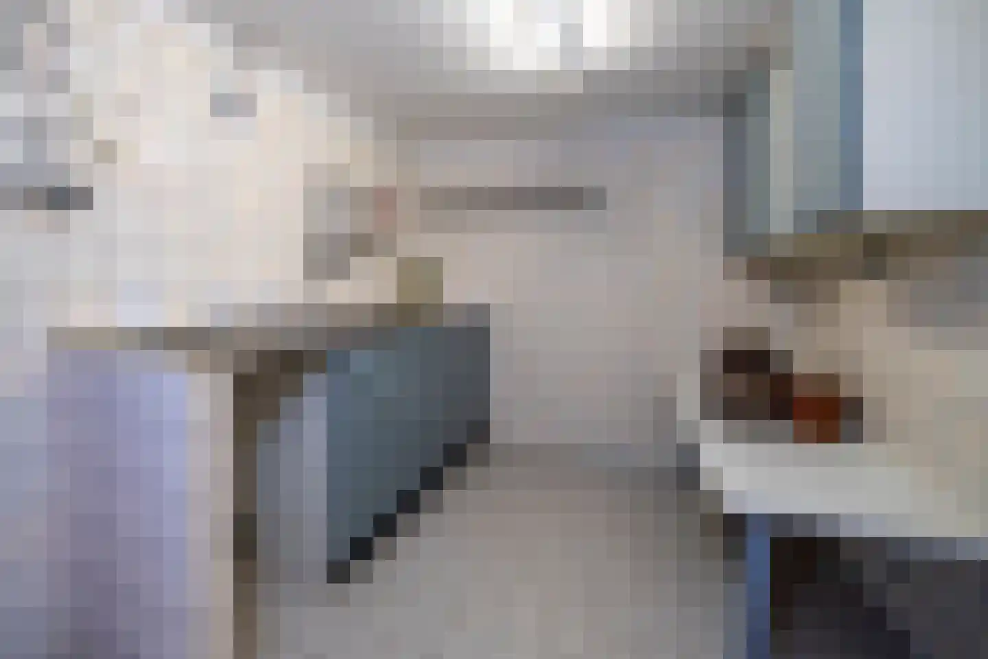Venneweg 14 Vlagtwedde thumbnail 29