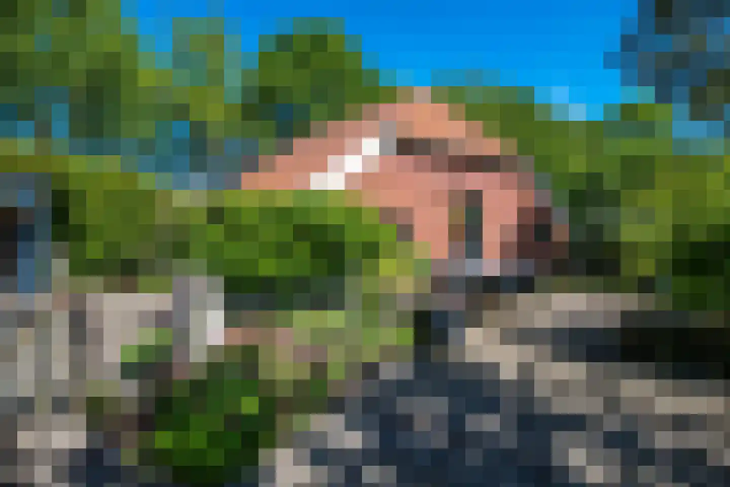 Venneweg 14 Vlagtwedde thumbnail 33