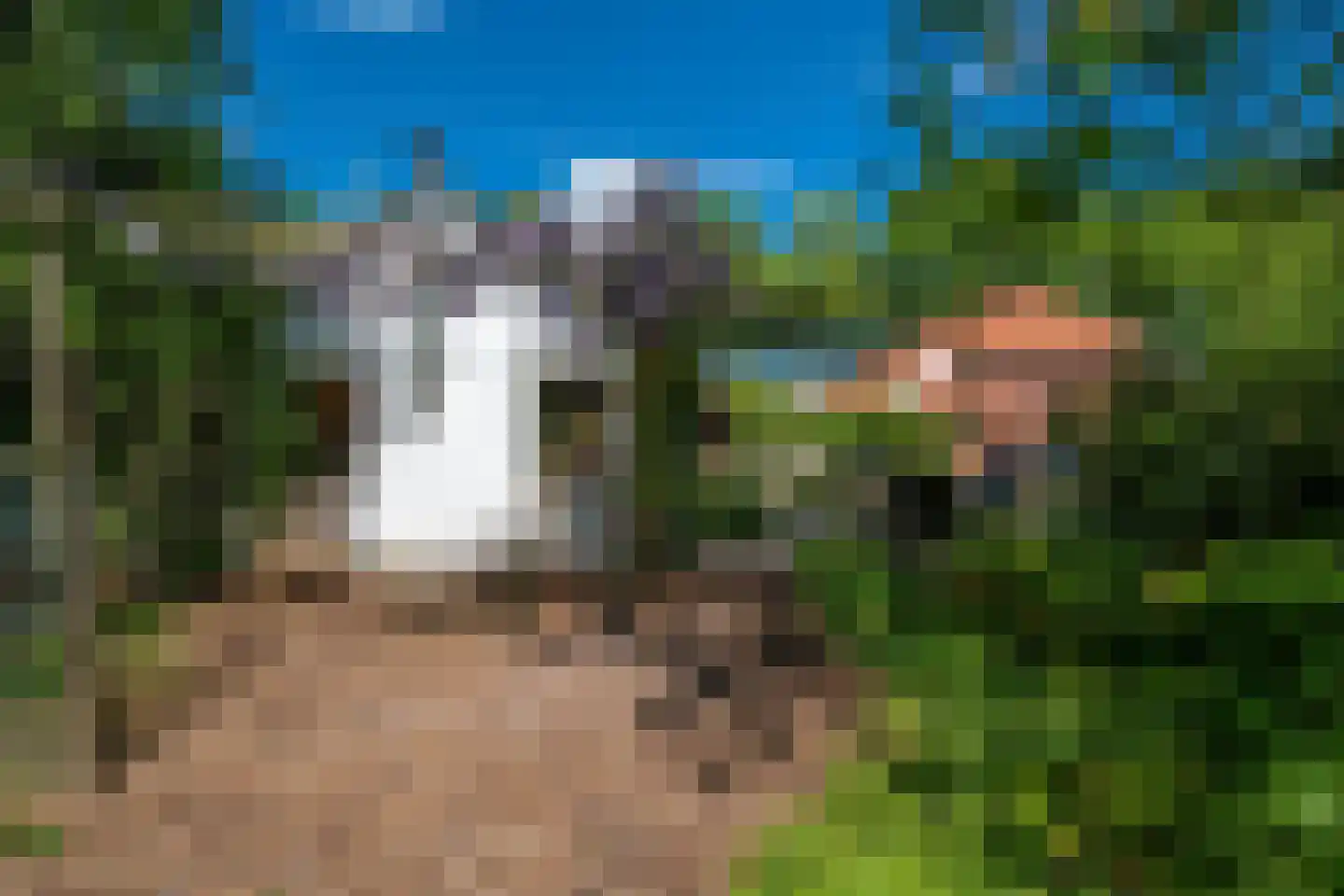 Venneweg 14 Vlagtwedde thumbnail 34