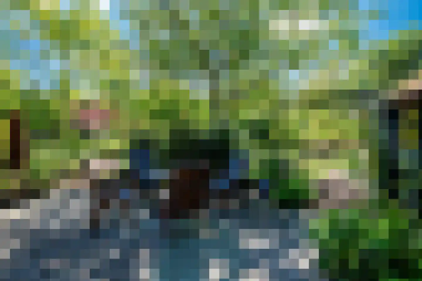 Venneweg 14 Vlagtwedde thumbnail 35
