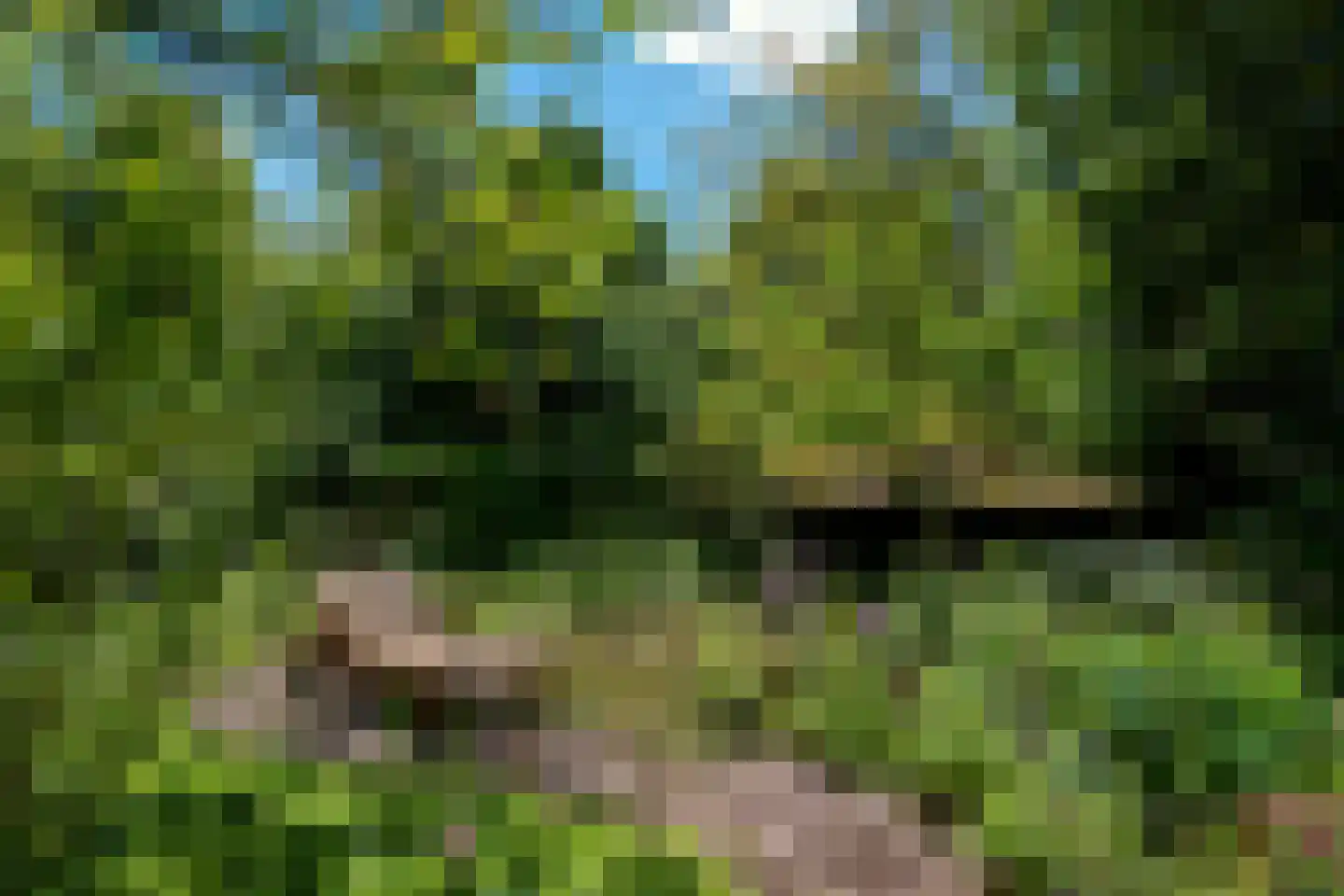 Venneweg 14 Vlagtwedde thumbnail 38