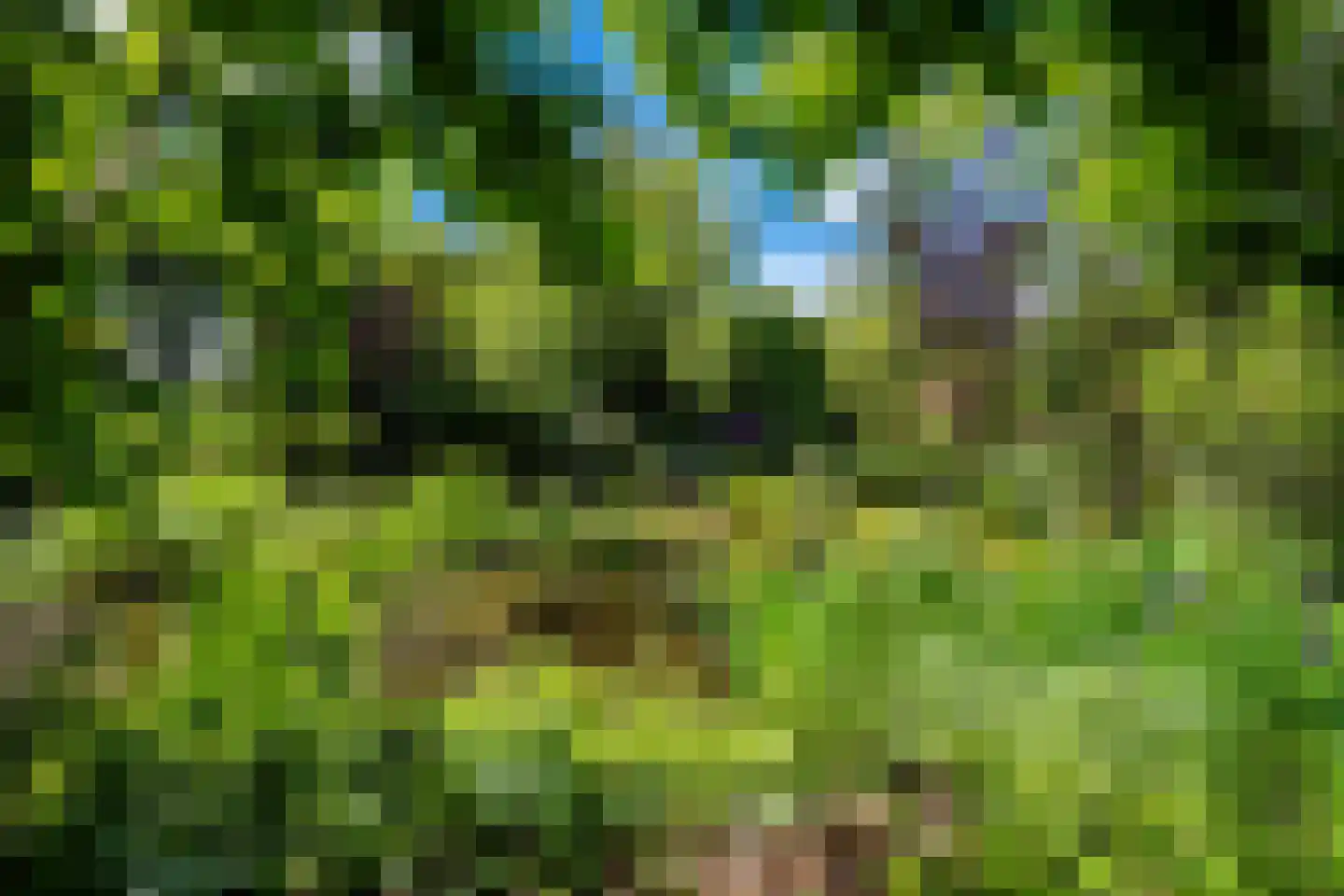 Venneweg 14 Vlagtwedde thumbnail 39