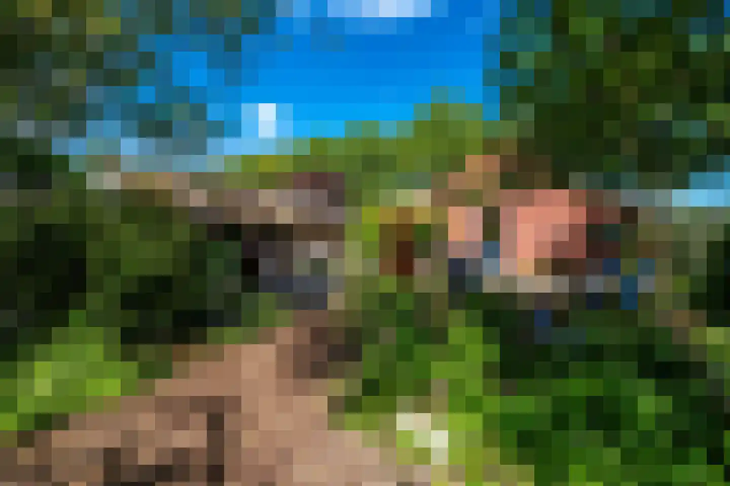Venneweg 14 Vlagtwedde thumbnail 4