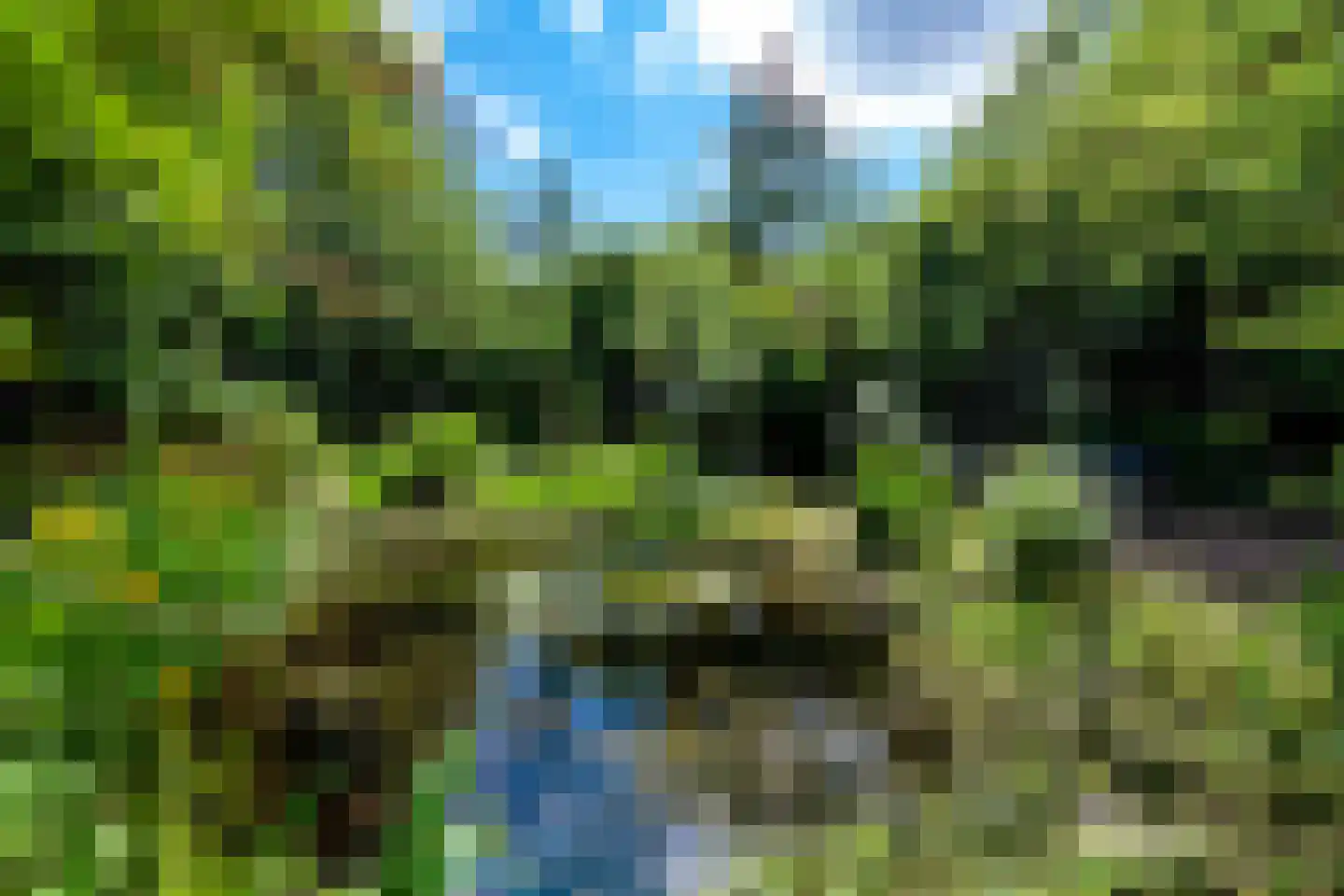 Venneweg 14 Vlagtwedde thumbnail 40