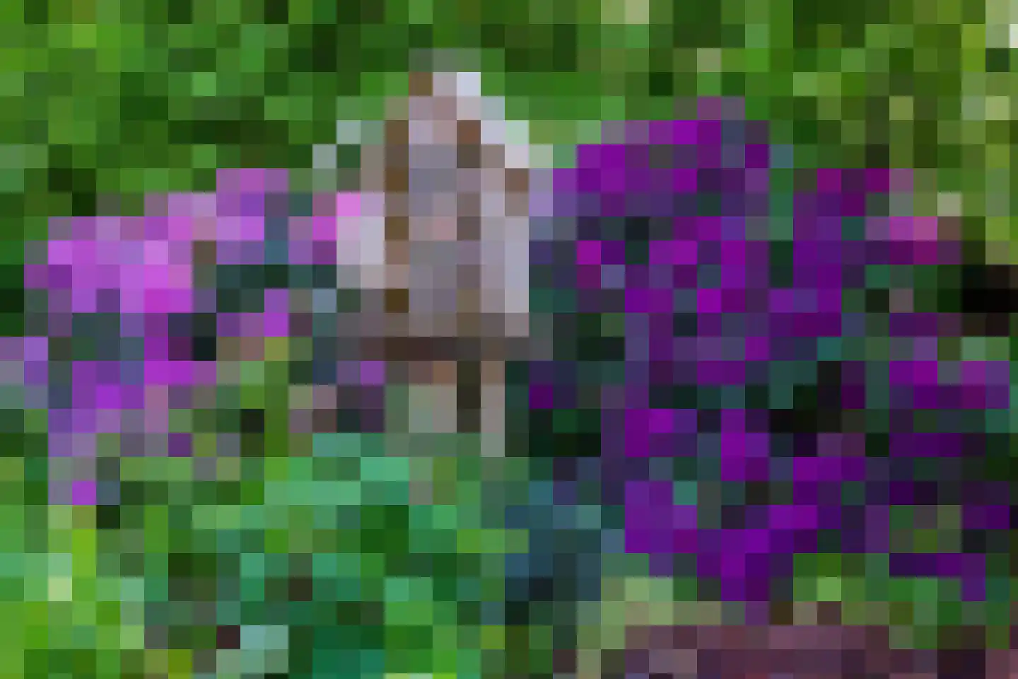 Venneweg 14 Vlagtwedde thumbnail 41
