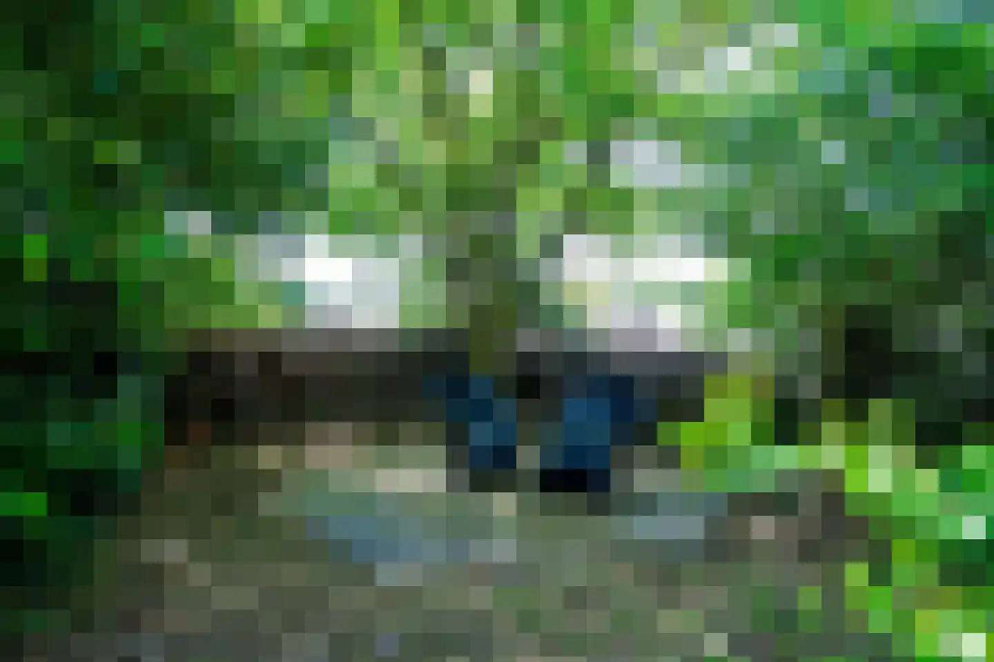 Venneweg 14 Vlagtwedde thumbnail 42