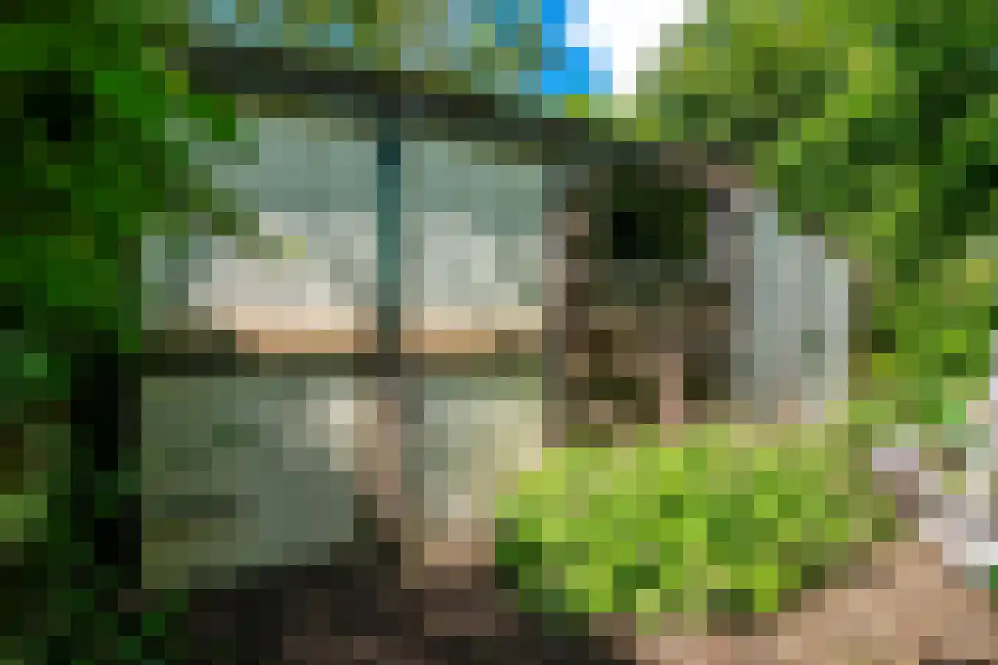 Venneweg 14 Vlagtwedde thumbnail 43
