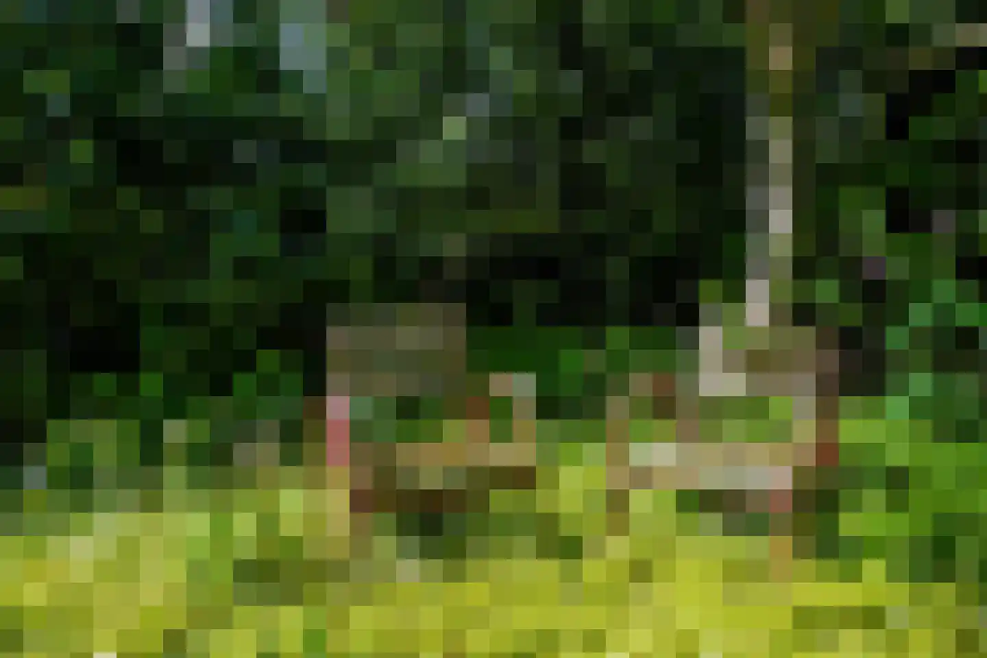 Venneweg 14 Vlagtwedde thumbnail 44