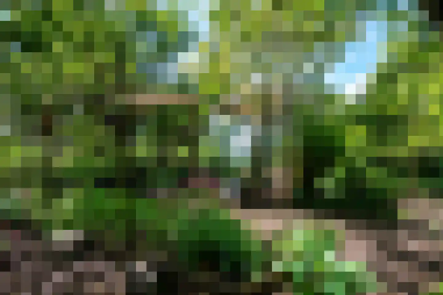 Venneweg 14 Vlagtwedde thumbnail 46
