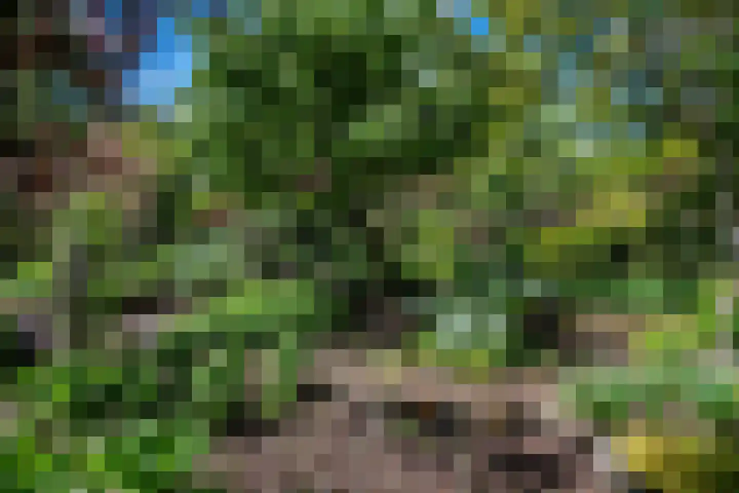 Venneweg 14 Vlagtwedde thumbnail 47