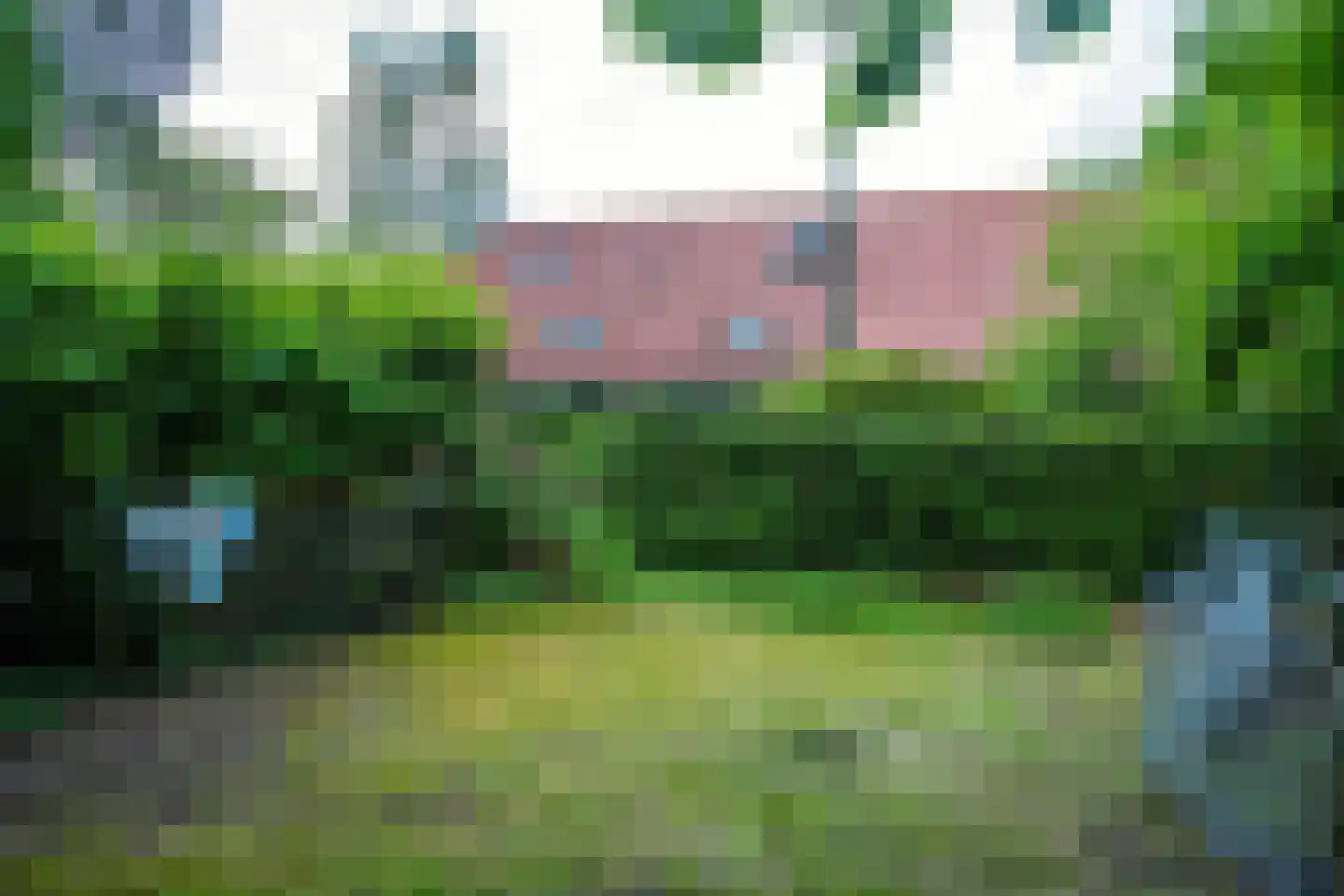Venneweg 14 Vlagtwedde thumbnail 48