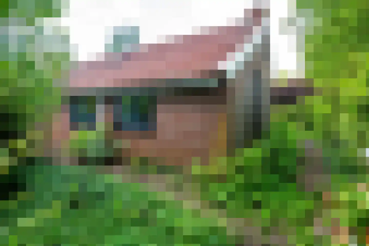 Venneweg 14 Vlagtwedde thumbnail 49