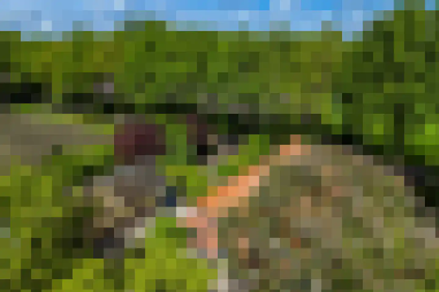 Venneweg 14 Vlagtwedde thumbnail 5