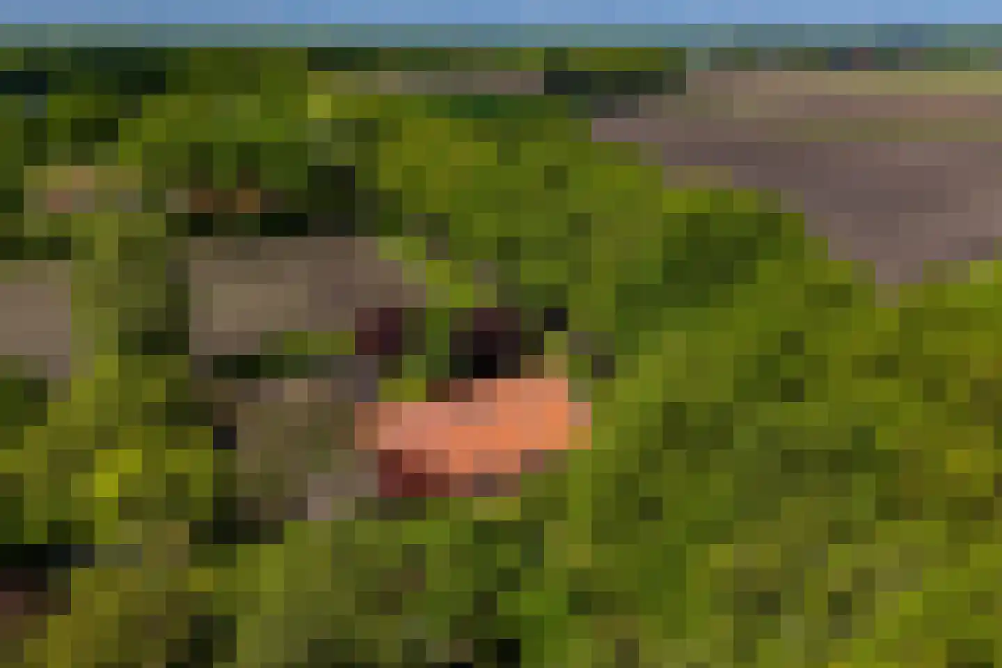 Venneweg 14 Vlagtwedde thumbnail 50