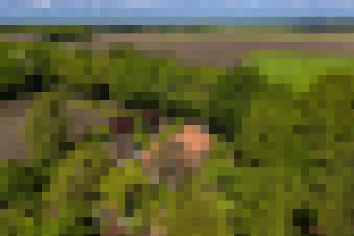 Venneweg 14 Vlagtwedde thumbnail 51