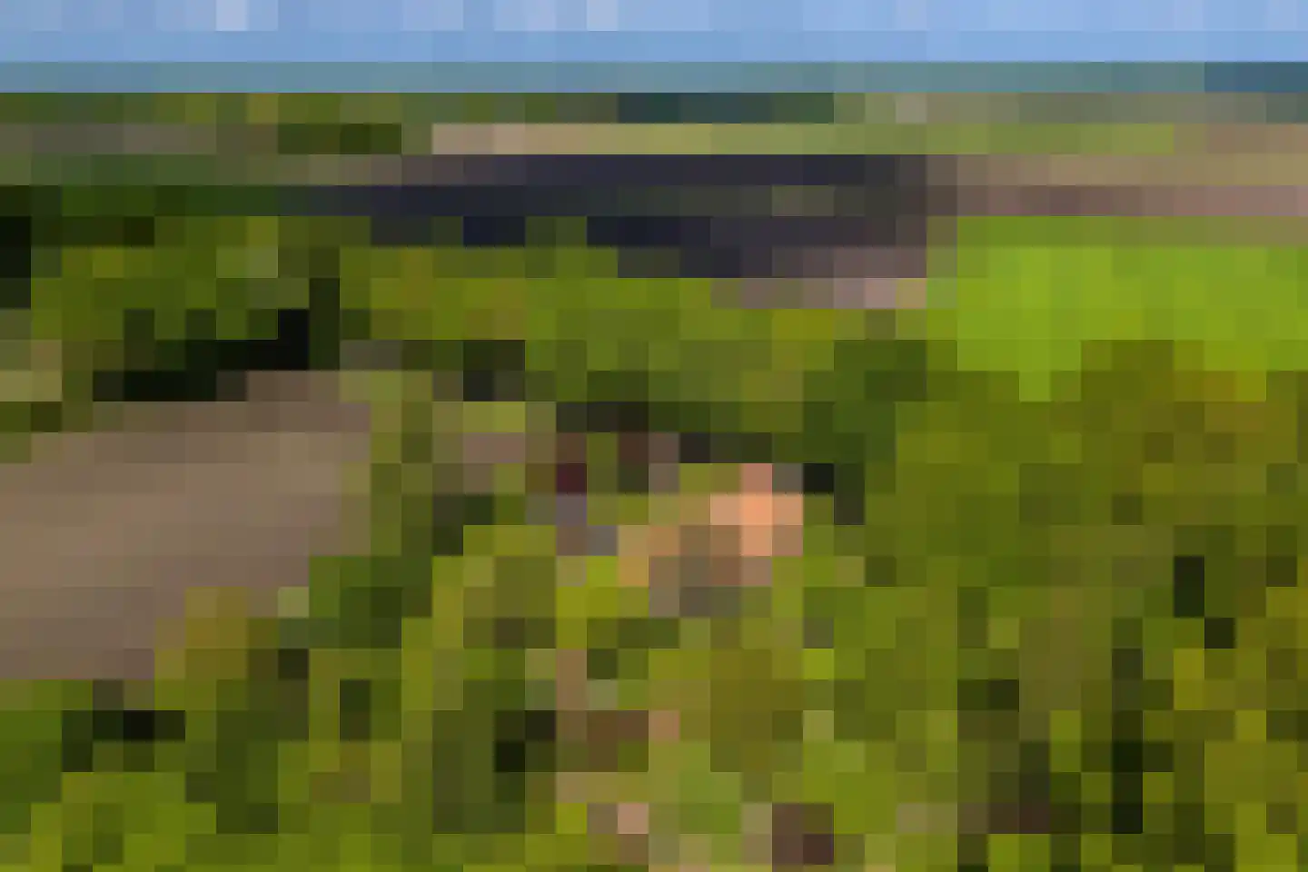 Venneweg 14 Vlagtwedde thumbnail 52