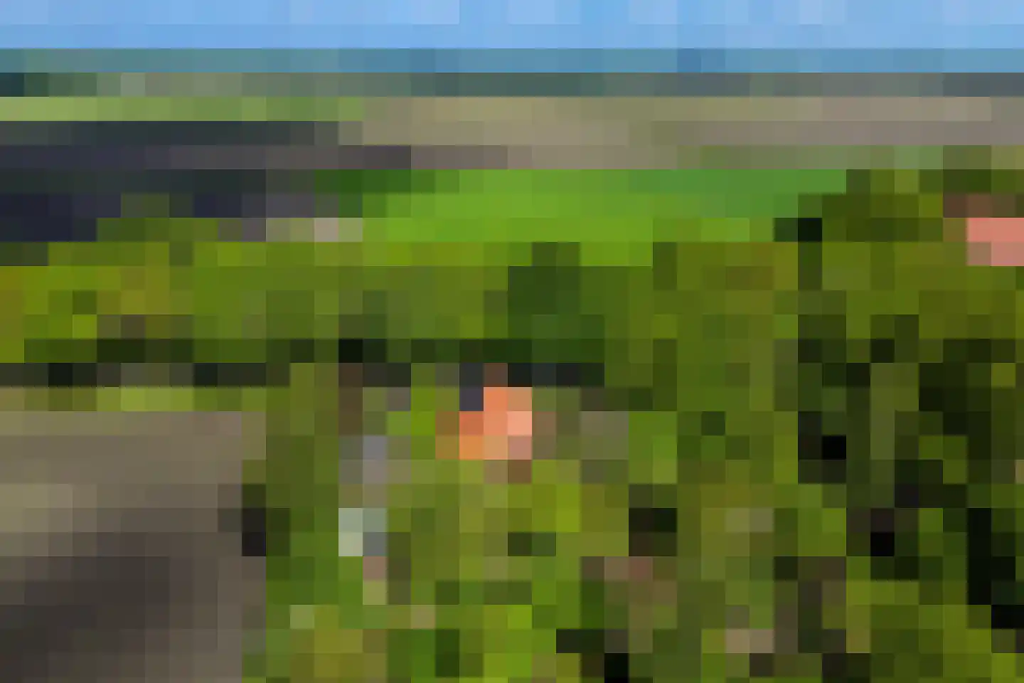 Venneweg 14 Vlagtwedde thumbnail 53