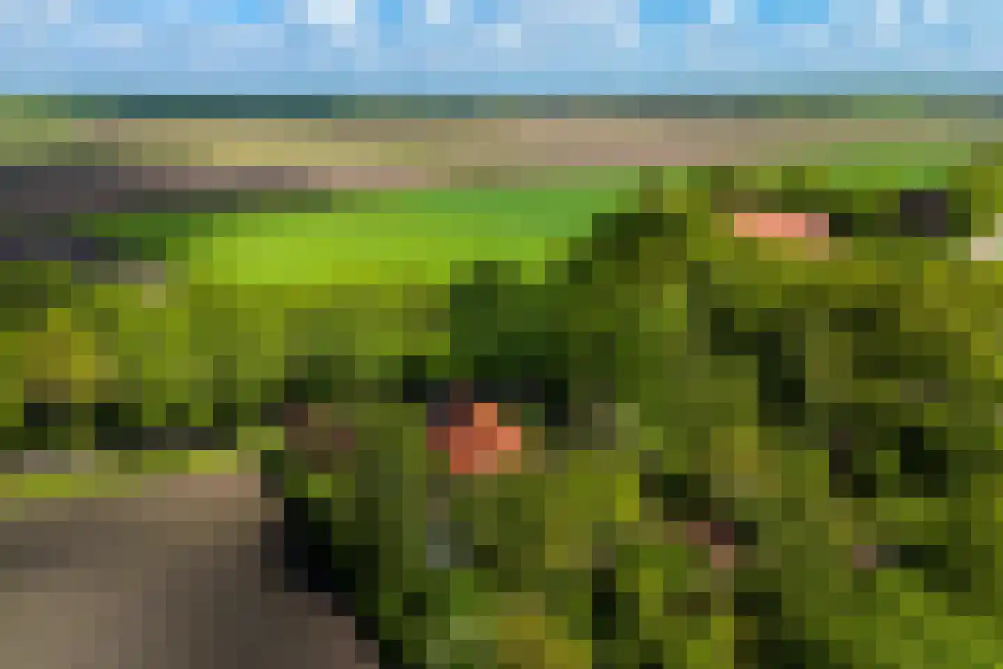Venneweg 14 Vlagtwedde thumbnail 54
