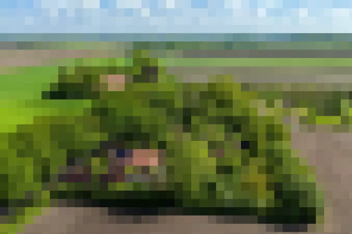 Venneweg 14 Vlagtwedde thumbnail 55