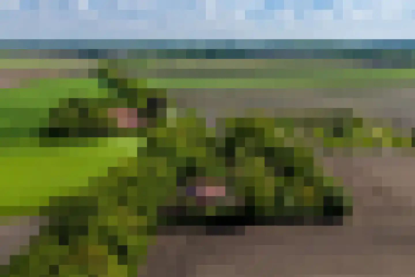 Venneweg 14 Vlagtwedde thumbnail 56