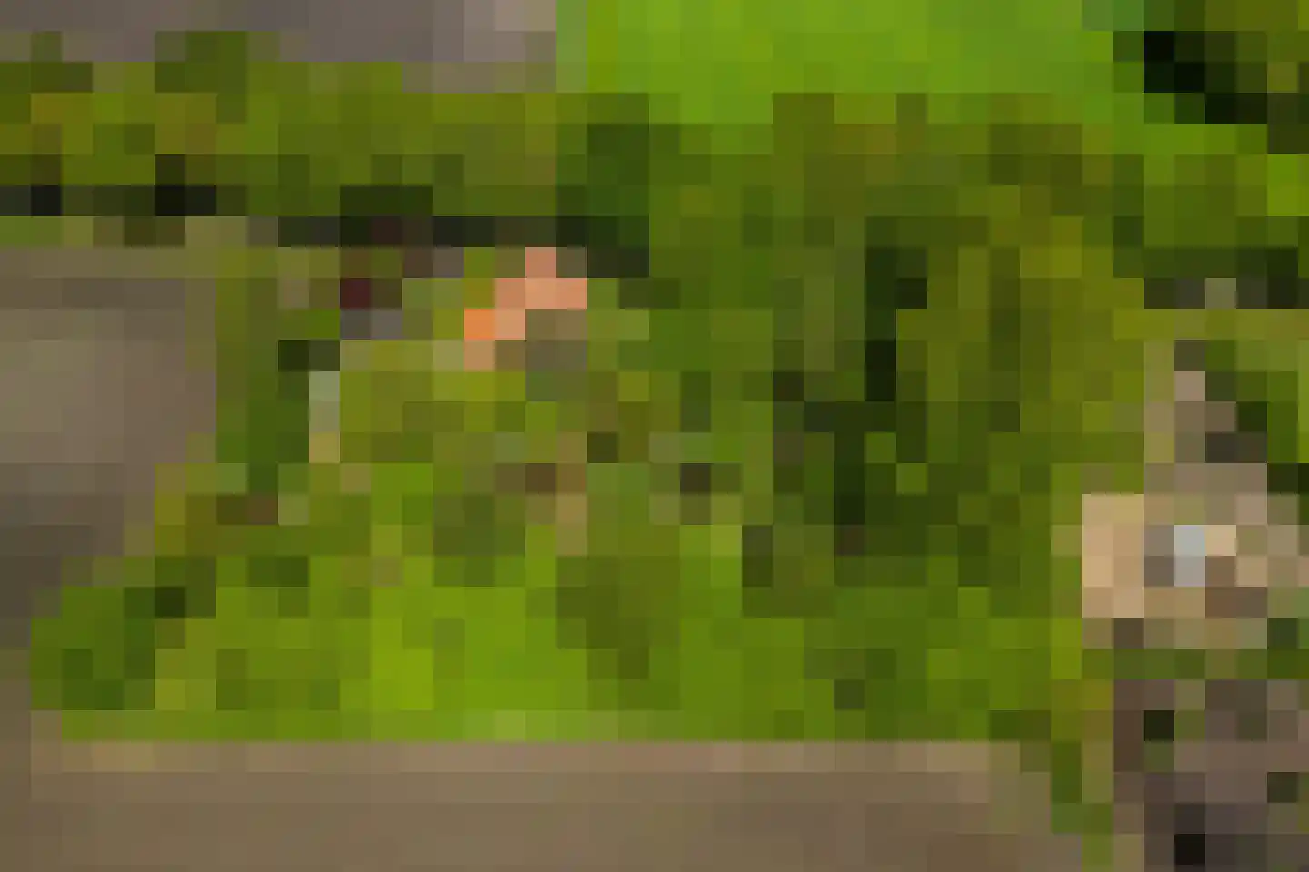 Venneweg 14 Vlagtwedde thumbnail 57