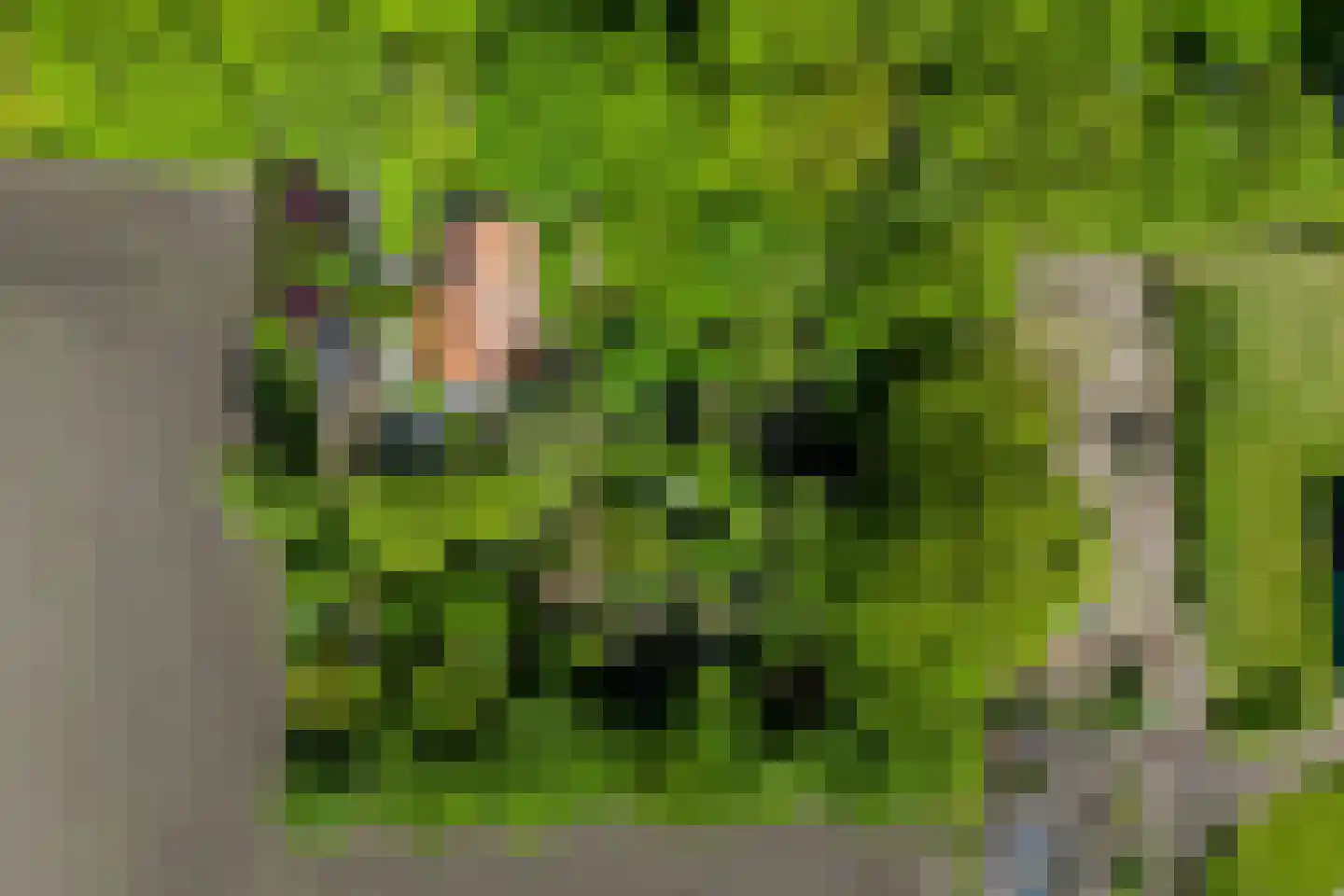 Venneweg 14 Vlagtwedde thumbnail 59