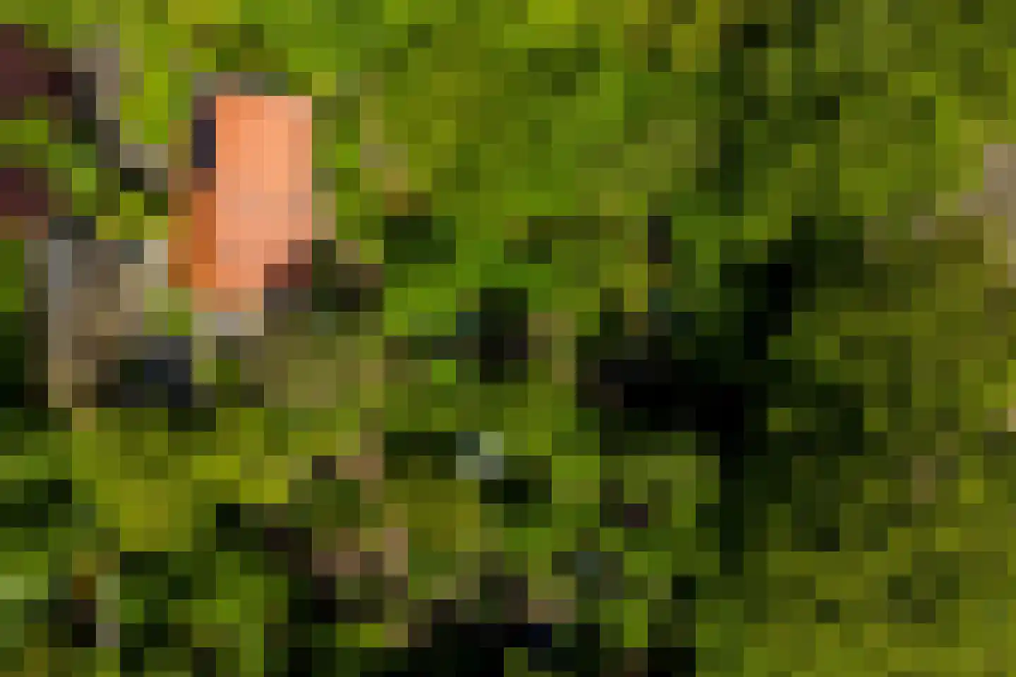 Venneweg 14 Vlagtwedde thumbnail 60