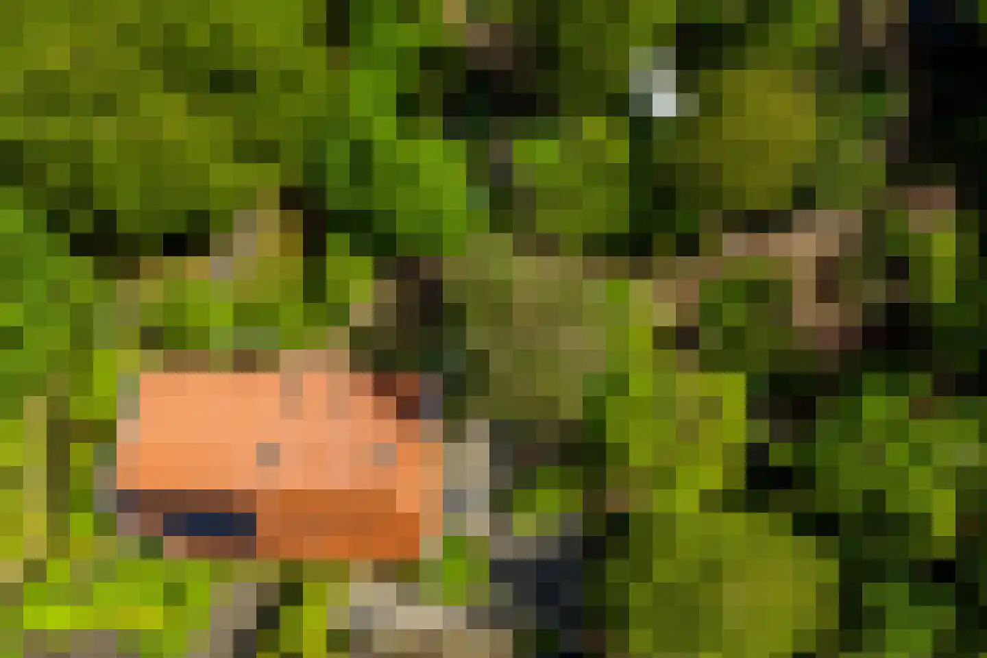 Venneweg 14 Vlagtwedde thumbnail 61