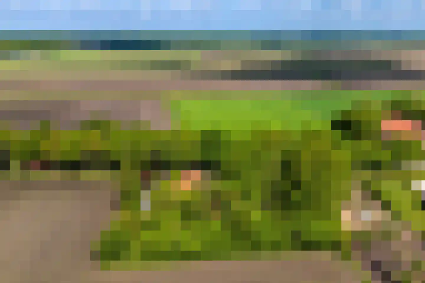 Venneweg 14 Vlagtwedde thumbnail 62