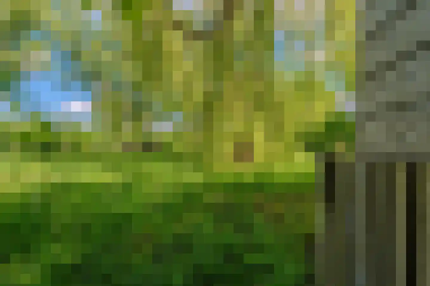 Venneweg 27 Veelerveen thumbnail 17