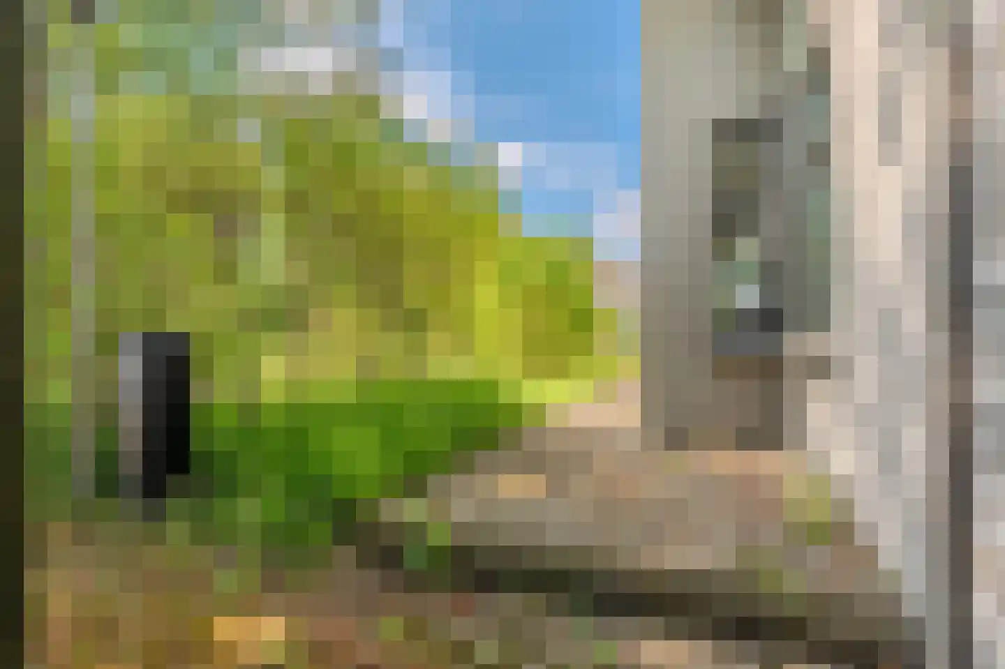 Venneweg 27 Veelerveen thumbnail 20