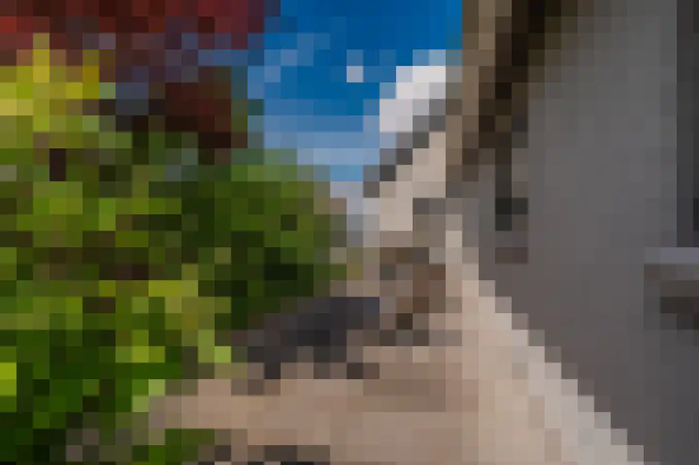Venneweg 27 Veelerveen thumbnail 25