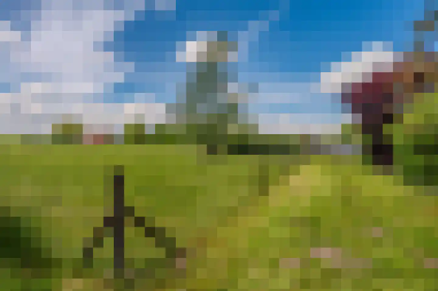 Venneweg 27 Veelerveen thumbnail 29