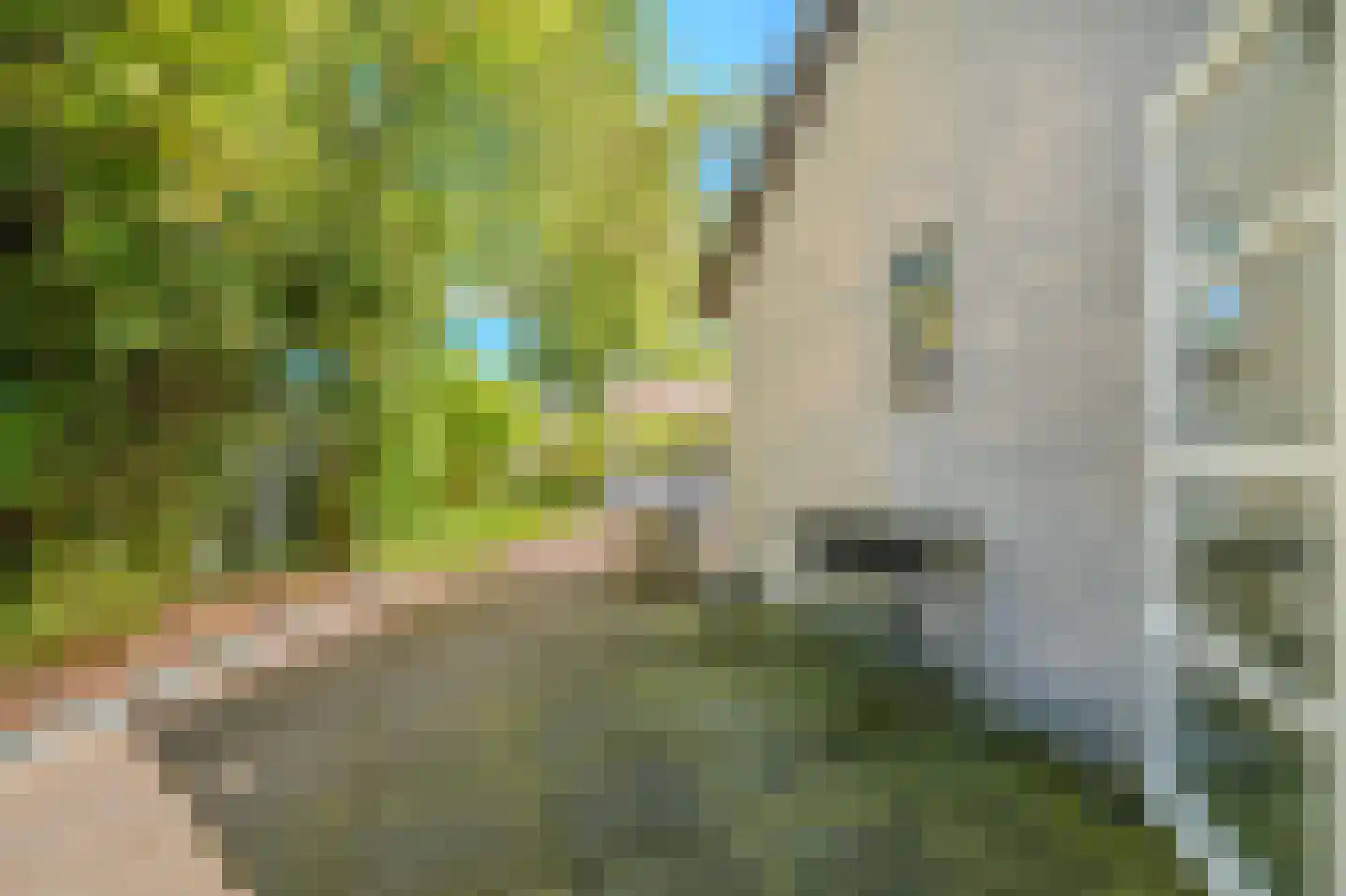Venneweg 27 Veelerveen thumbnail 30