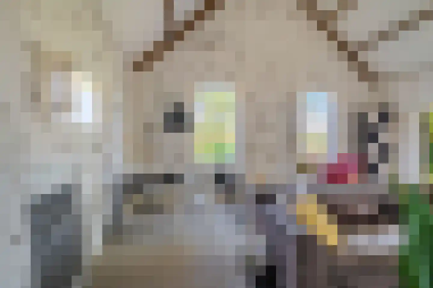 Venneweg 27 Veelerveen thumbnail 37