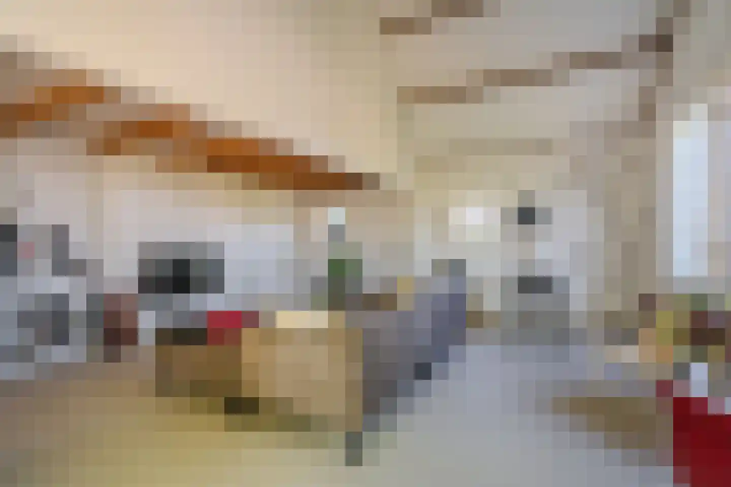 Venneweg 27 Veelerveen thumbnail 40