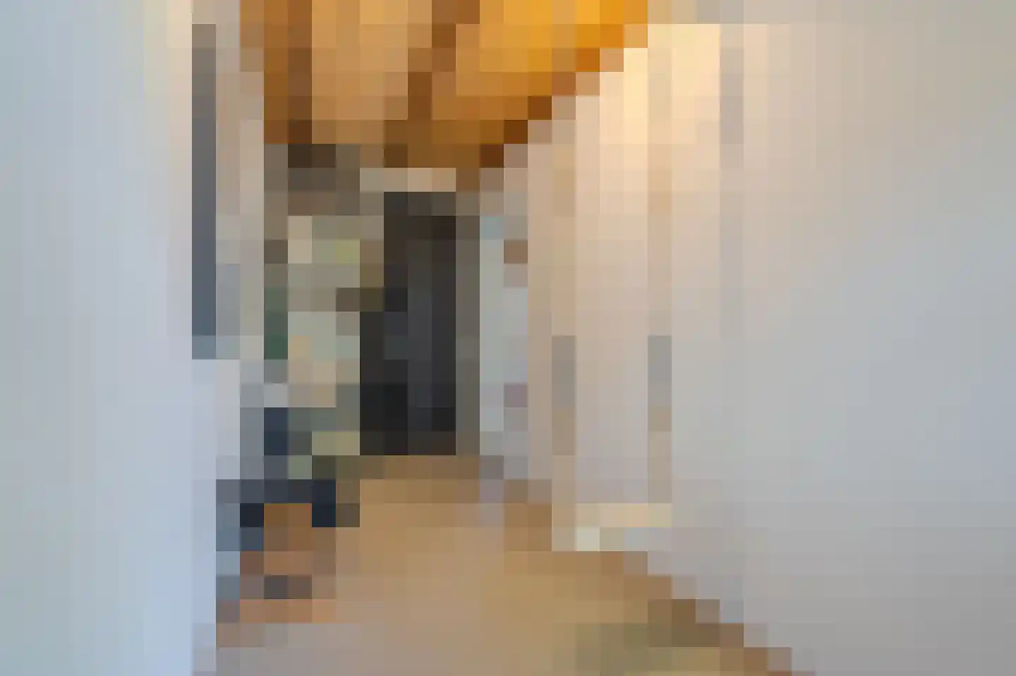 Venneweg 27 Veelerveen thumbnail 41