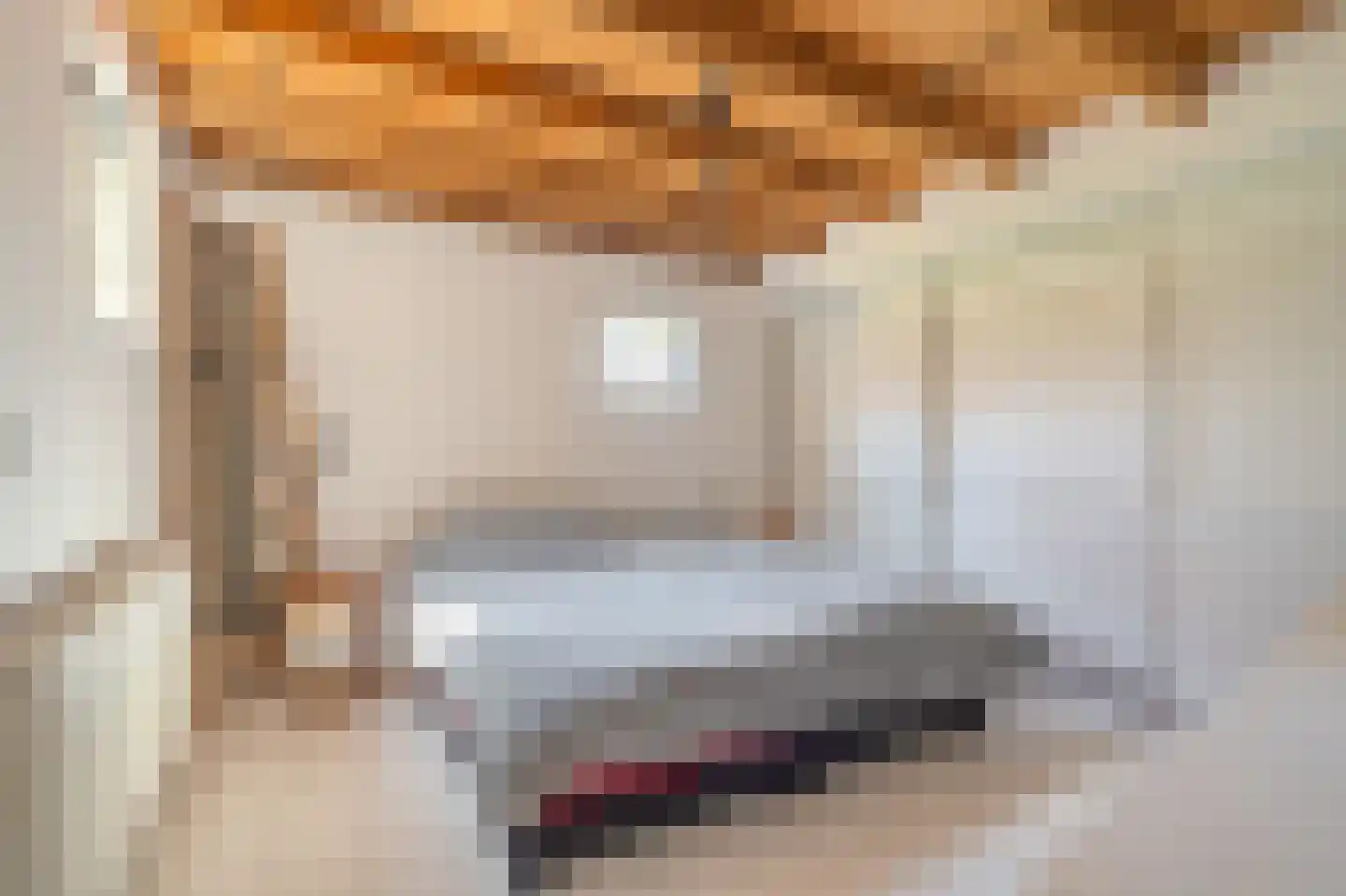 Venneweg 27 Veelerveen thumbnail 42