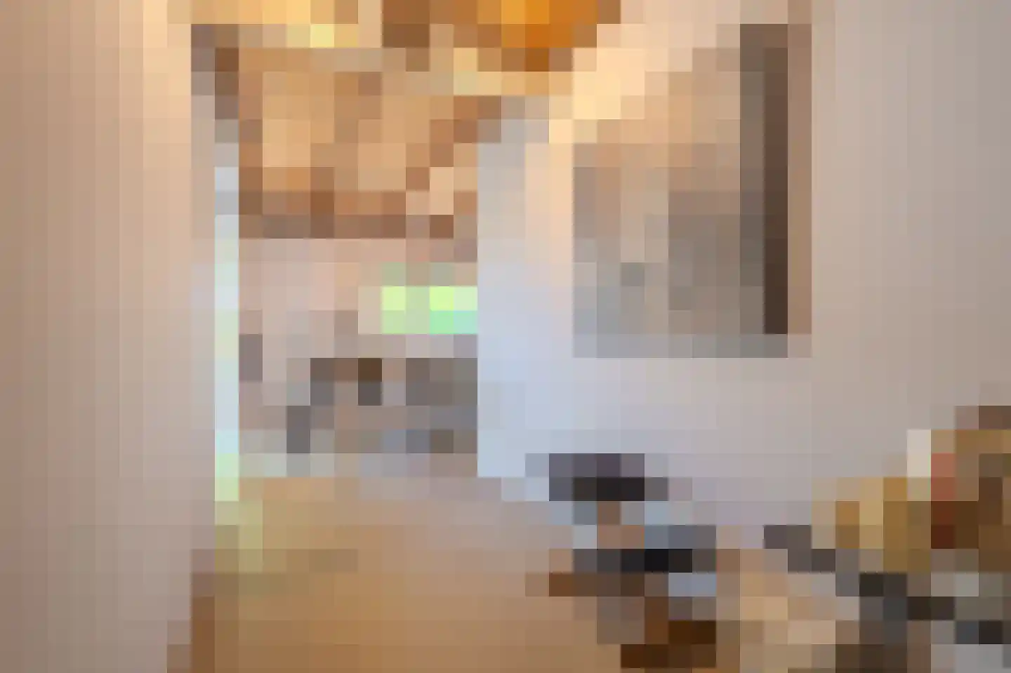 Venneweg 27 Veelerveen thumbnail 47