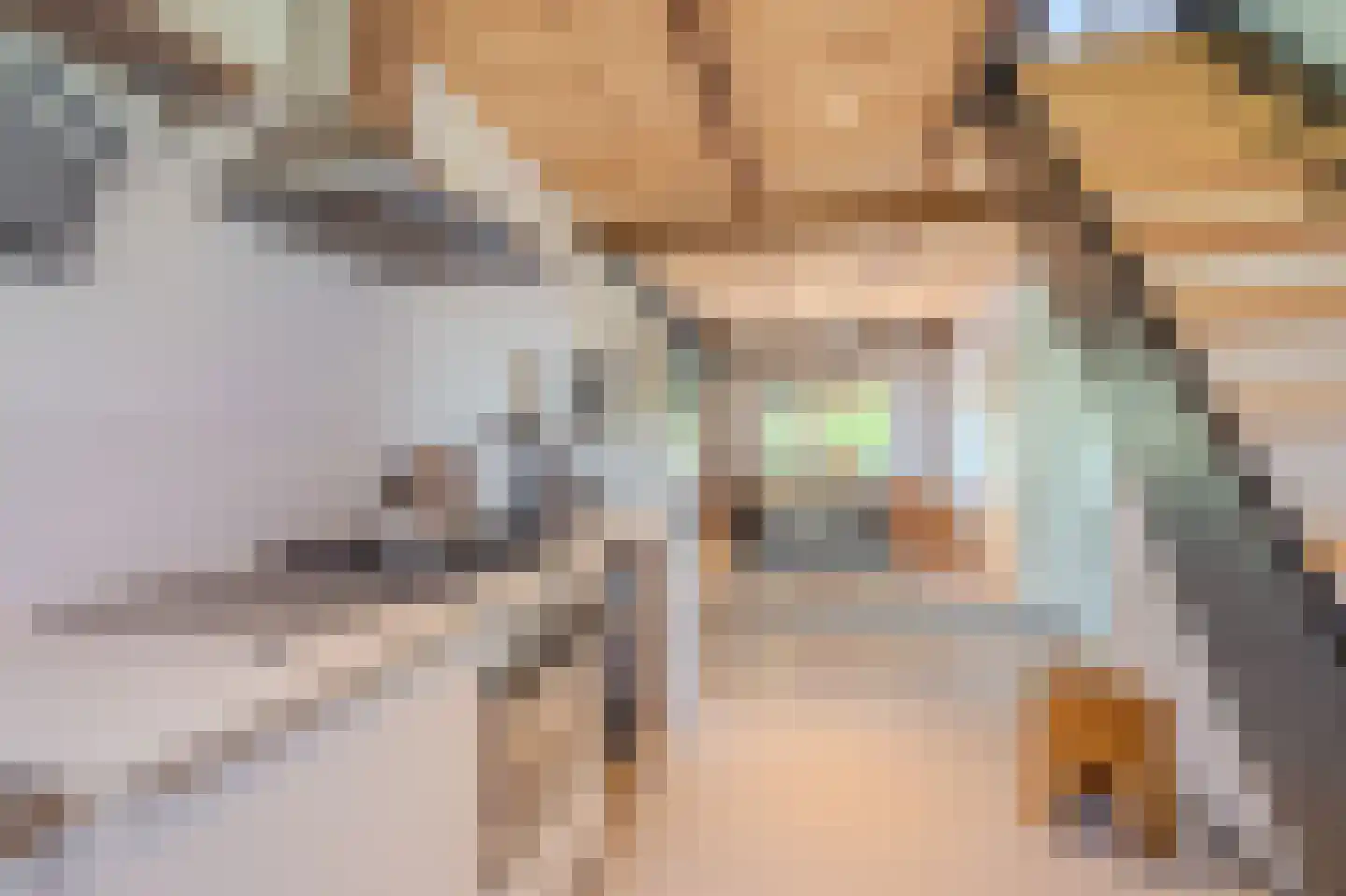 Venneweg 27 Veelerveen thumbnail 52